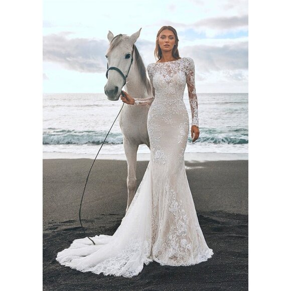 Pronovias Panjin Wedding Gown Size 14 Lace Long Sleeve - Picture 1 of 15